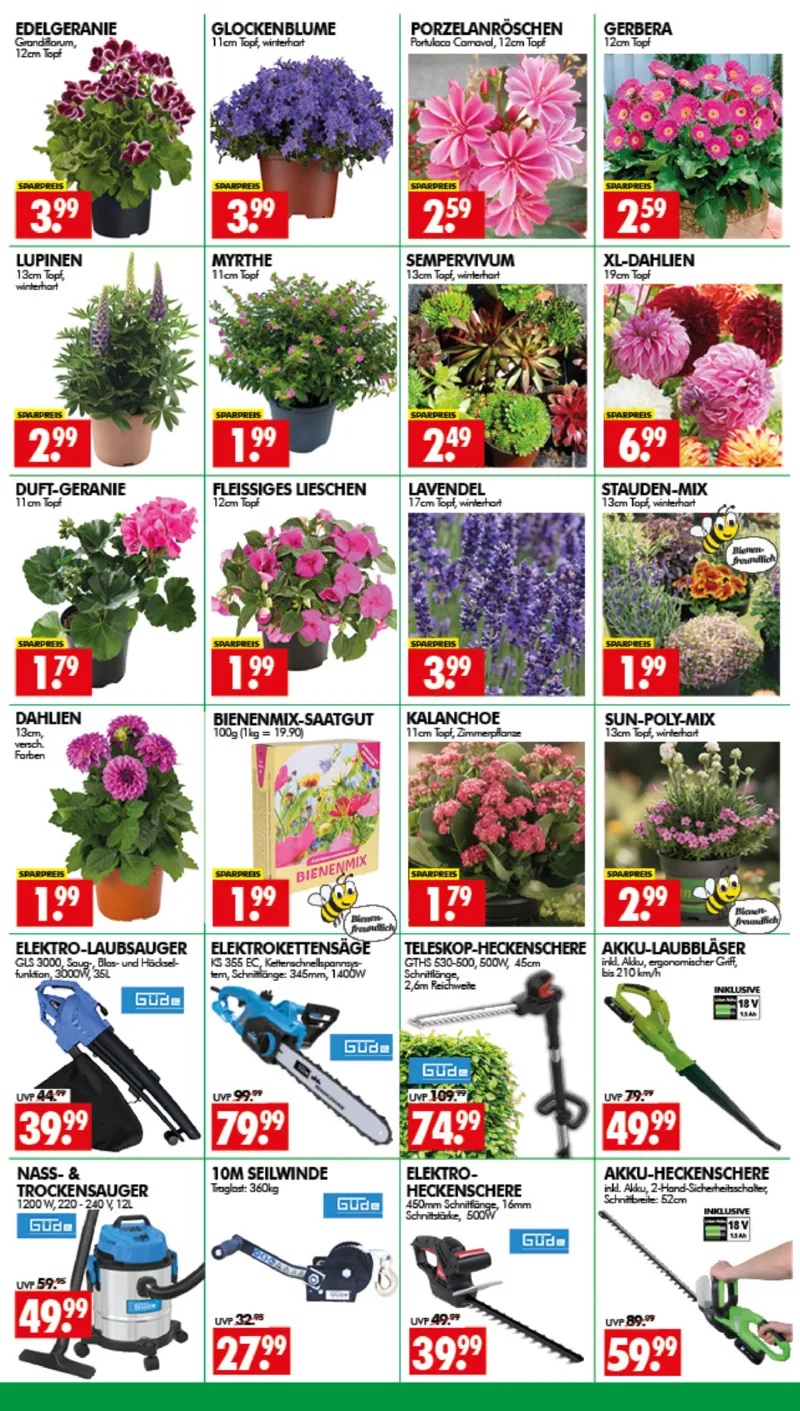 Wreesmann Prospekt vom 08.06.2026, Seite 3