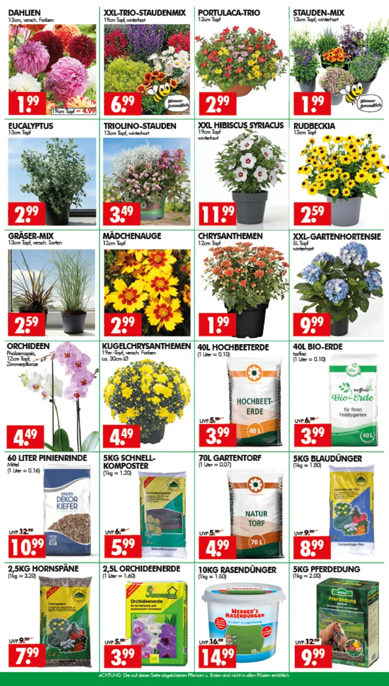 Wreesmann Prospekt vom 27.07.2026, Seite 3