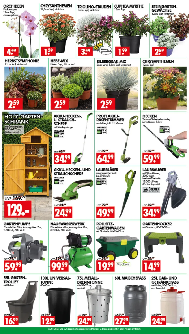 Wreesmann Prospekt vom 03.08.2026, Seite 3