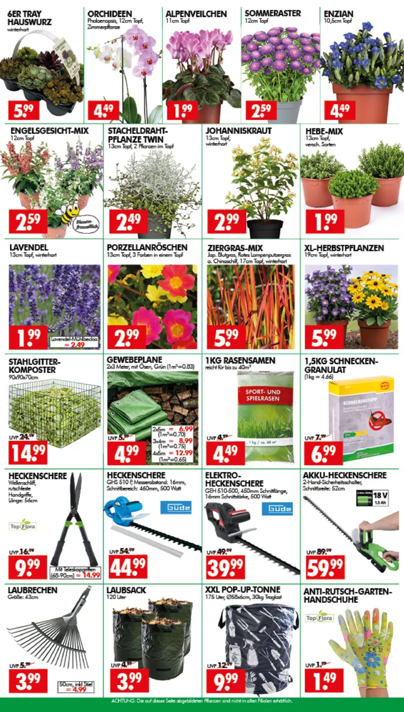 Wreesmann Prospekt vom 10.08.2026, Seite 3