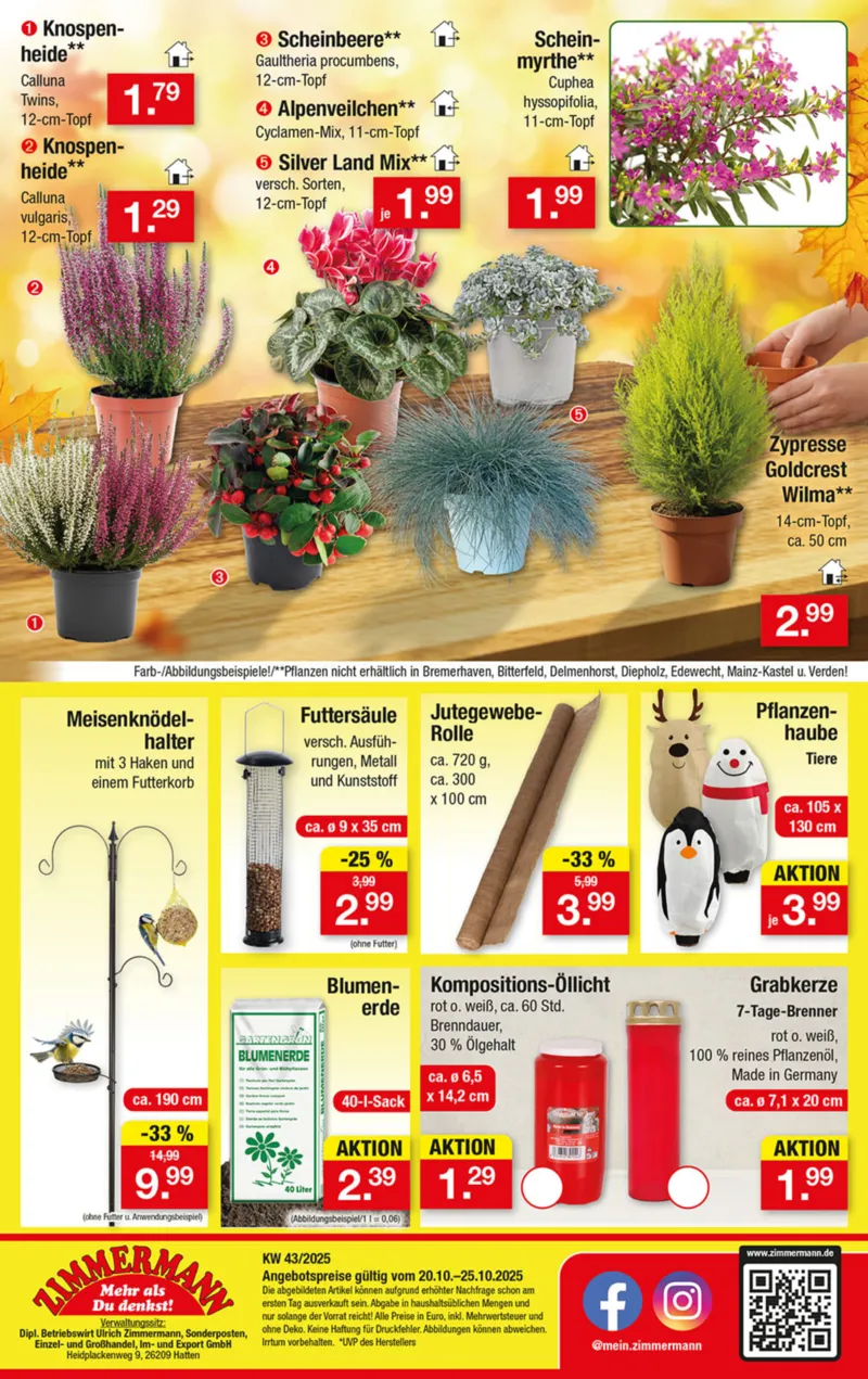 Zimmermann Prospekt vom 20.10.2025, Seite 10