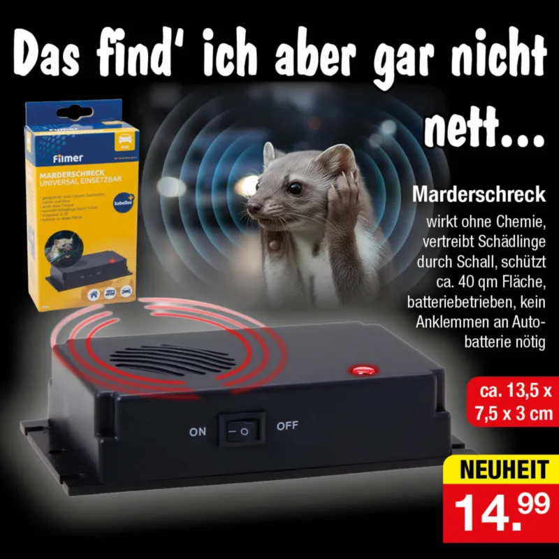 Zimmermann Prospekt vom 08.12.2025, Seite 29