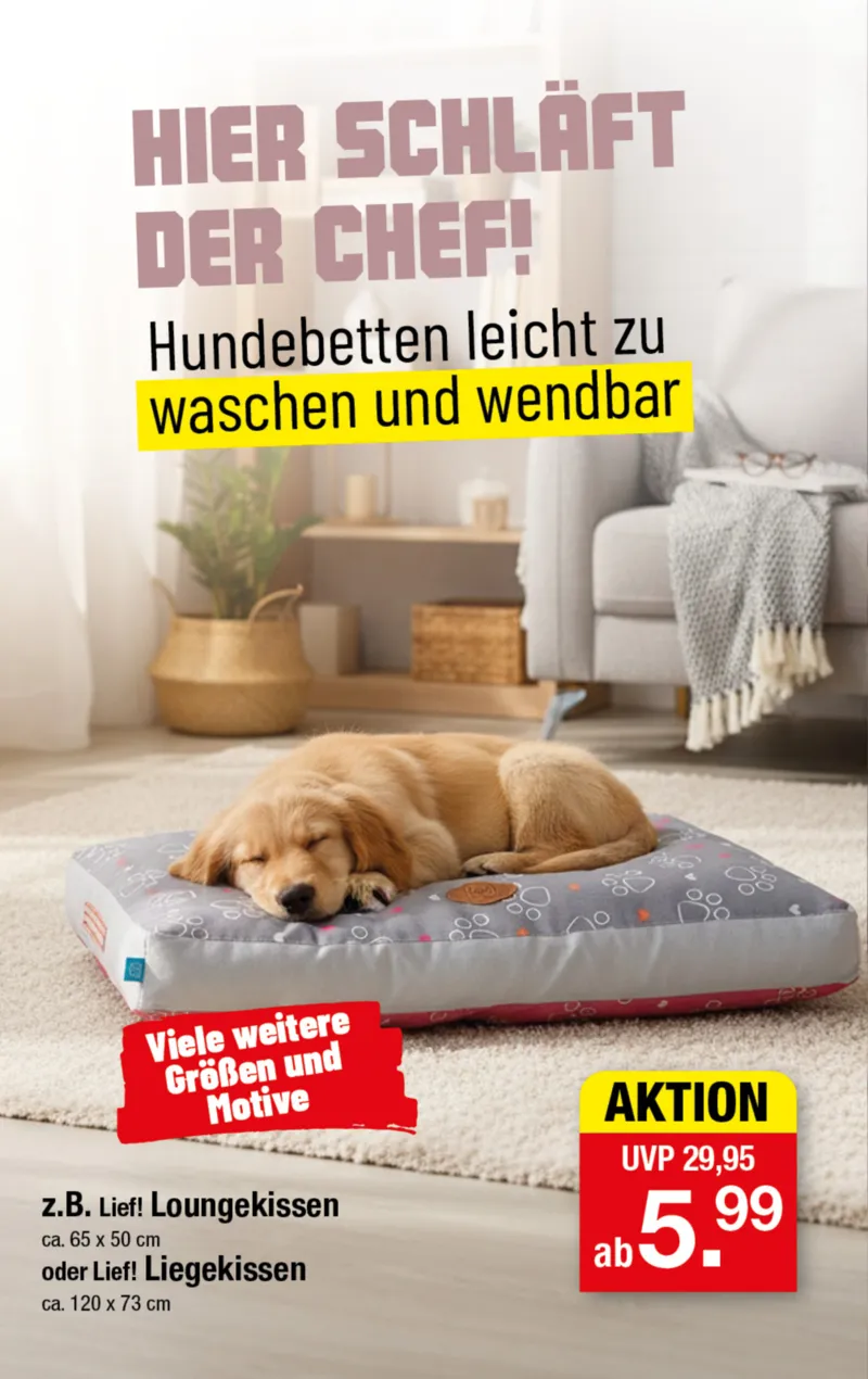 Zimmermann Prospekt vom 02.02.2026, Seite 10