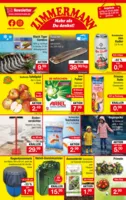 Zimmermann Prospekt nächster Woche