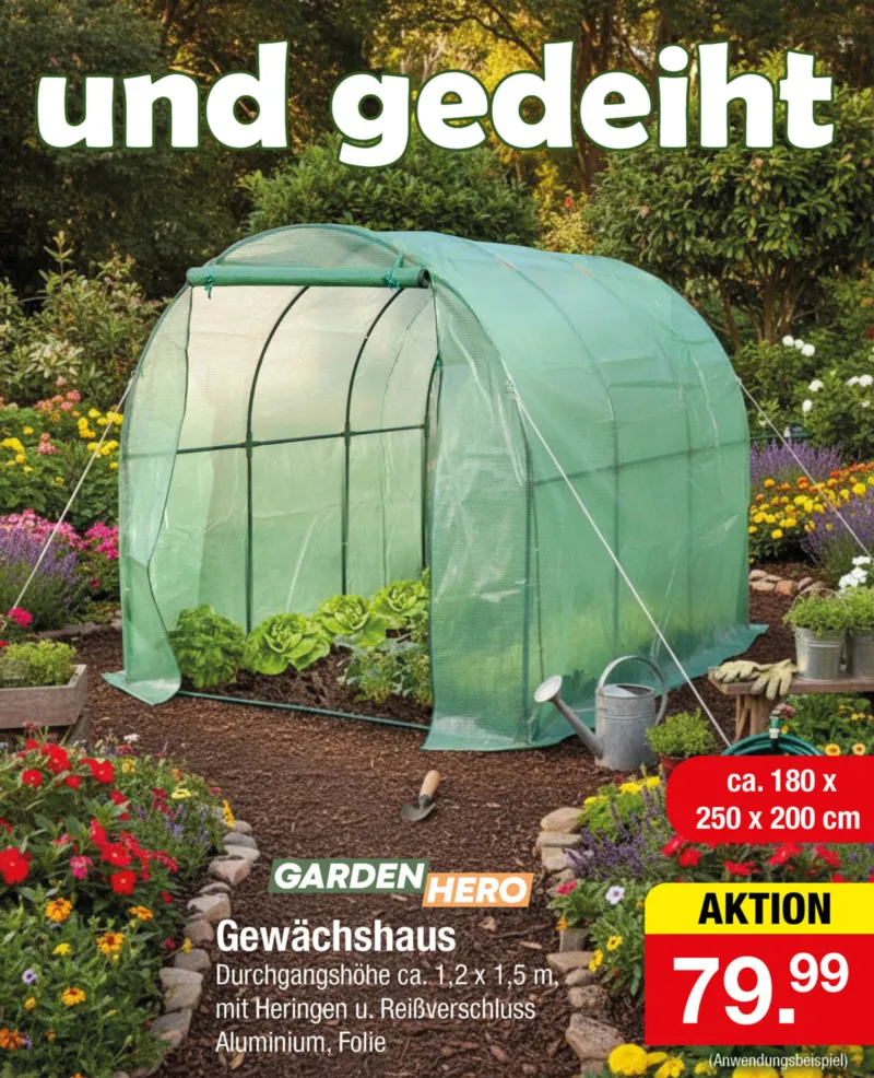 Zimmermann Prospekt vom 02.03.2026, Seite 17