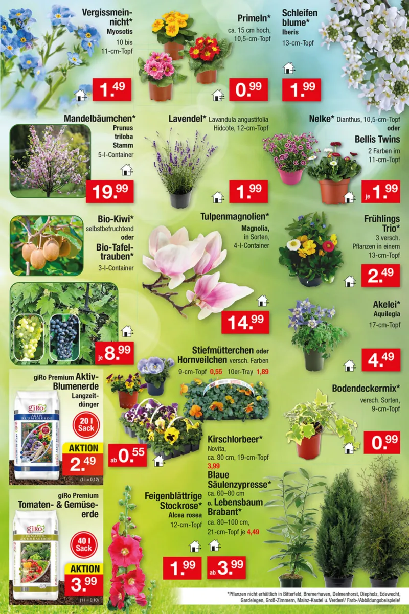 Zimmermann Prospekt vom 09.03.2026, Seite 17