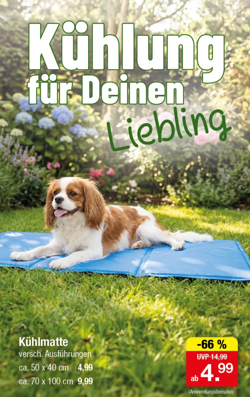 Zimmermann Prospekt vom 20.04.2026, Seite 5