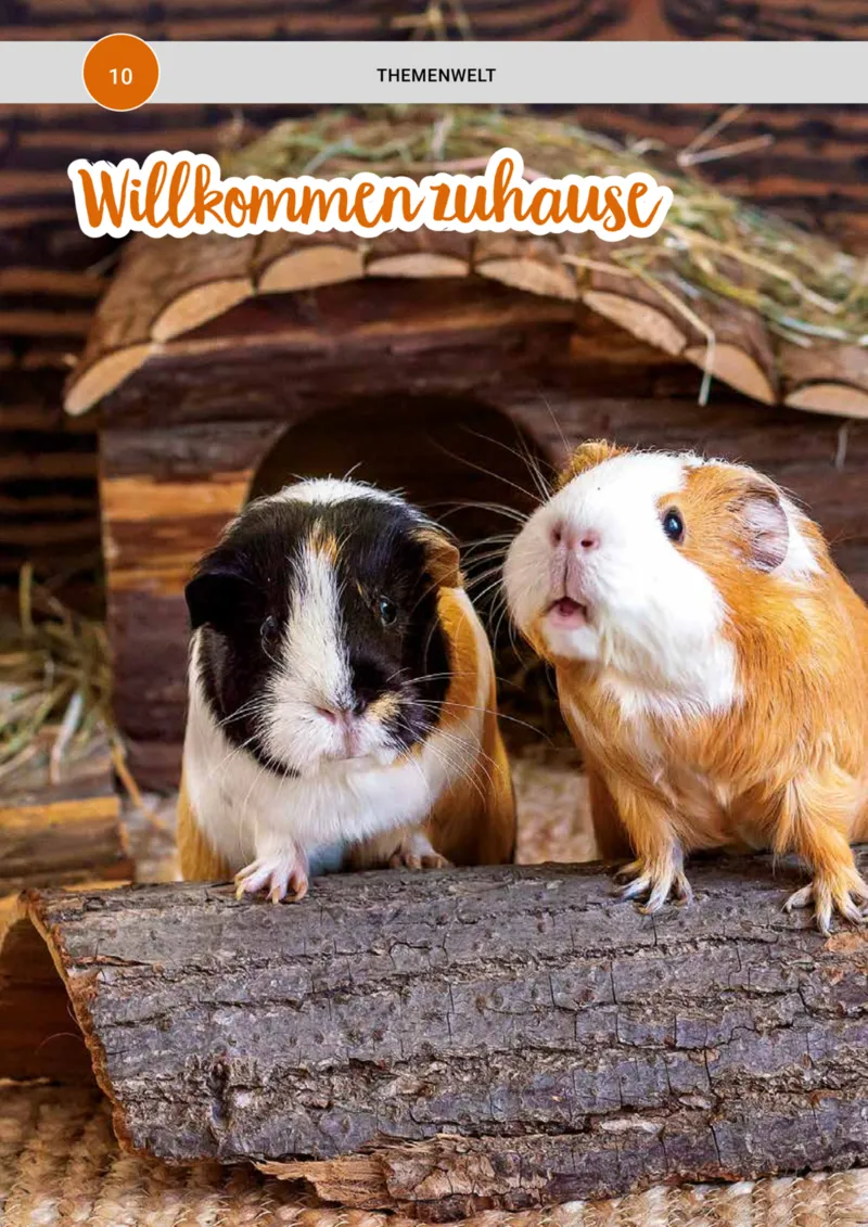 Zookauf Prospekt vom 01.05.2025, Seite 10