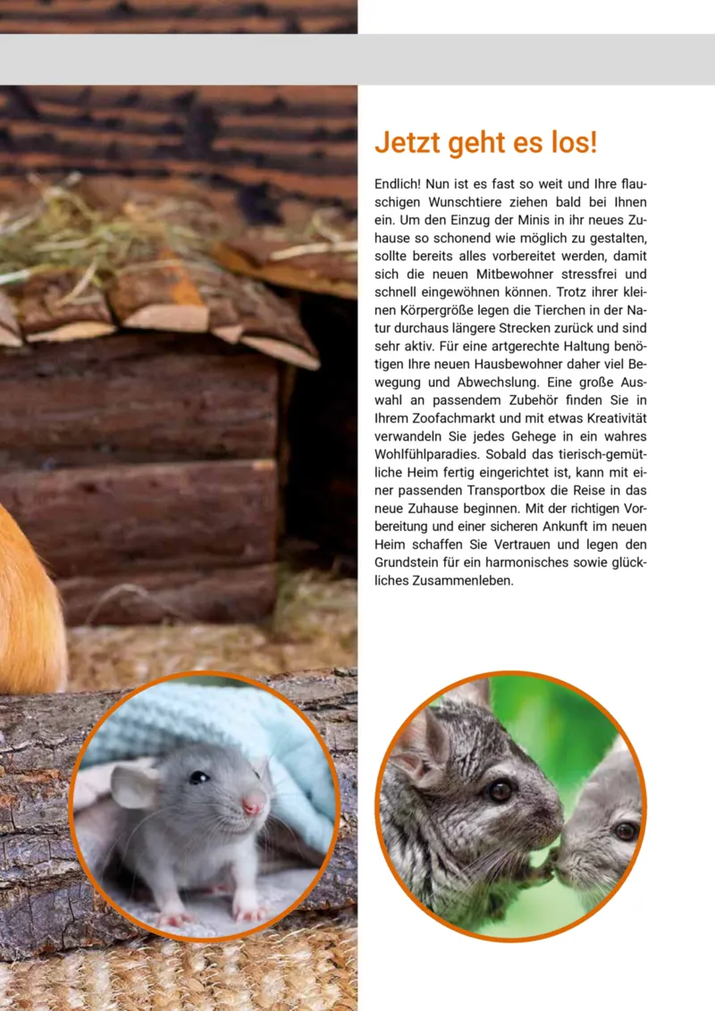 Zookauf Prospekt vom 01.05.2025, Seite 11