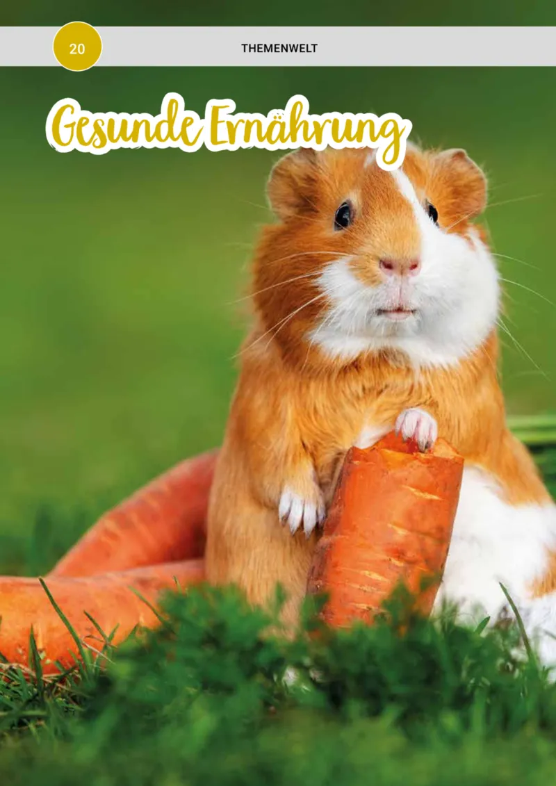 Zookauf Prospekt vom 01.05.2025, Seite 20