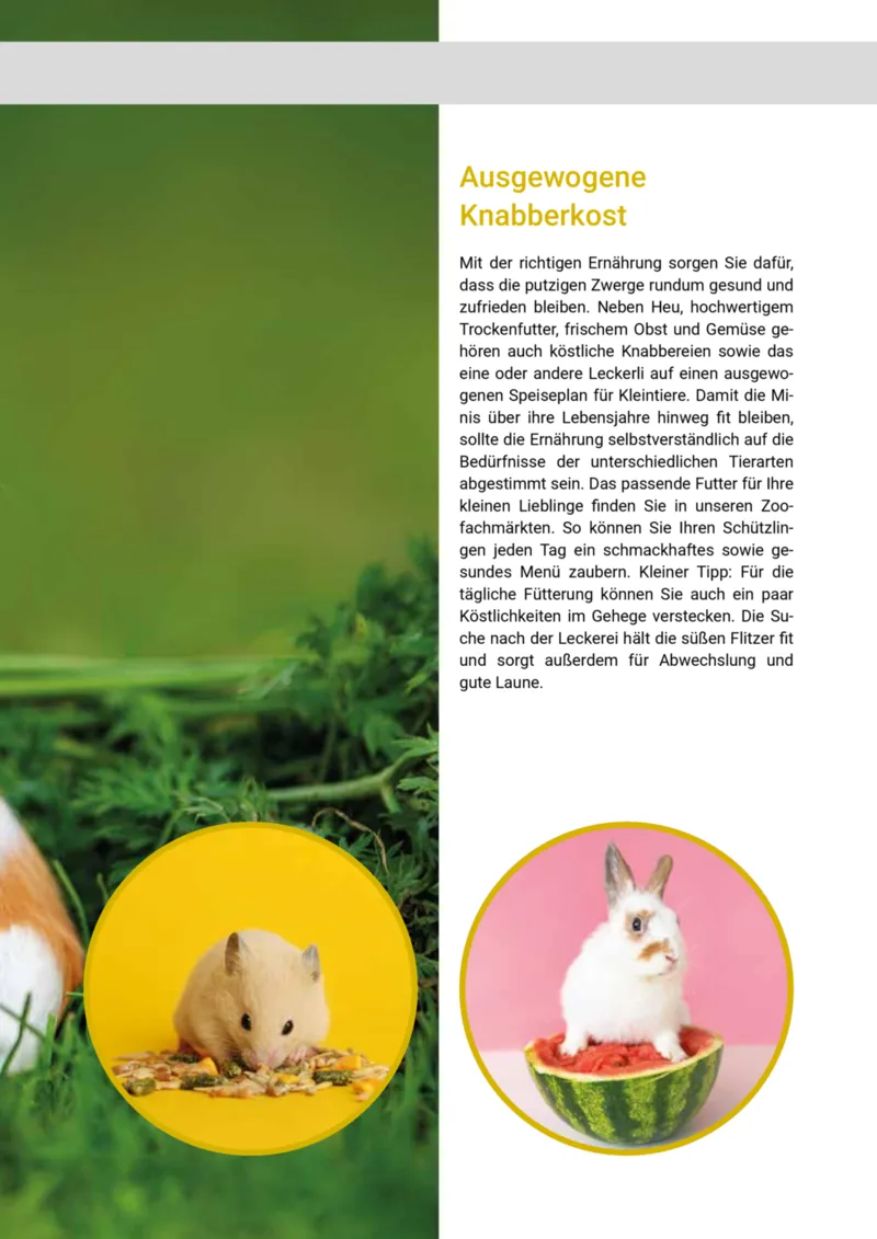 Zookauf Prospekt vom 01.05.2025, Seite 21