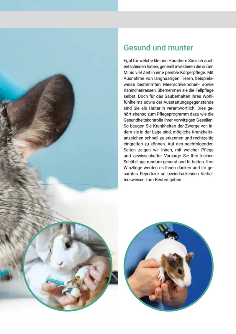 Zookauf Prospekt vom 01.05.2025, Seite 31