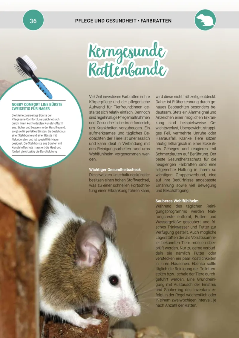 Zookauf Prospekt vom 01.05.2025, Seite 36