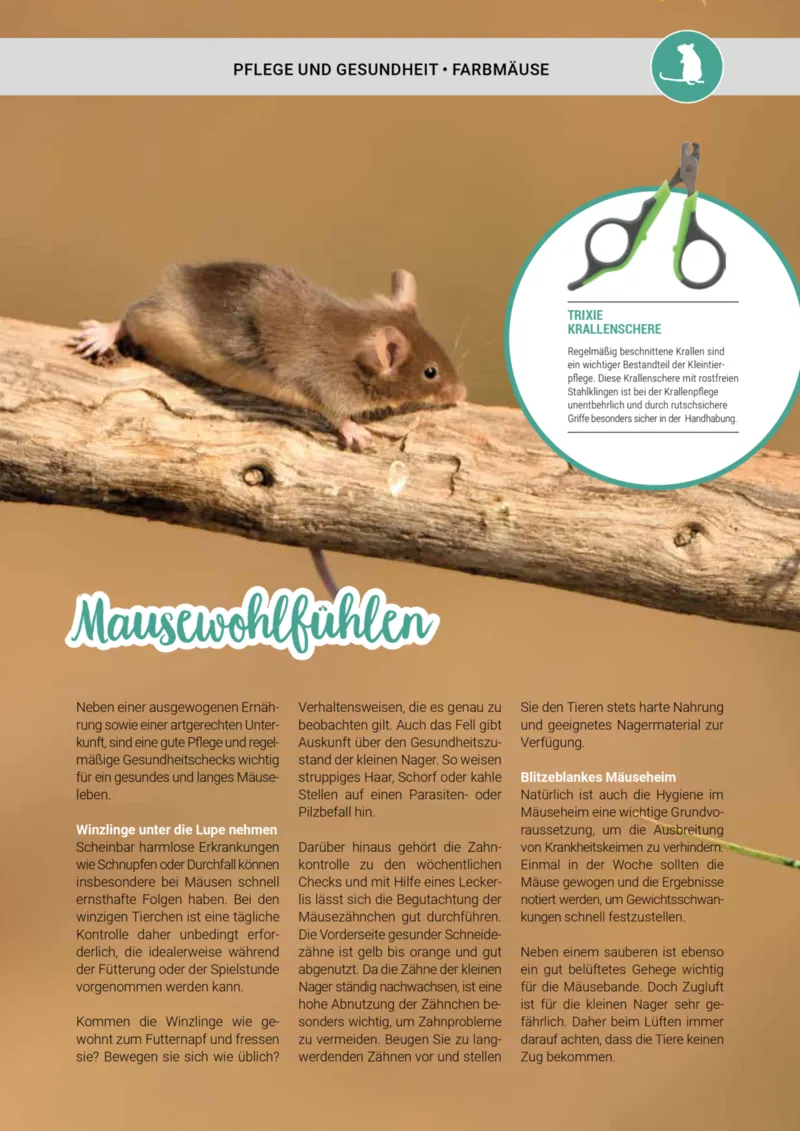 Zookauf Prospekt vom 01.05.2025, Seite 37