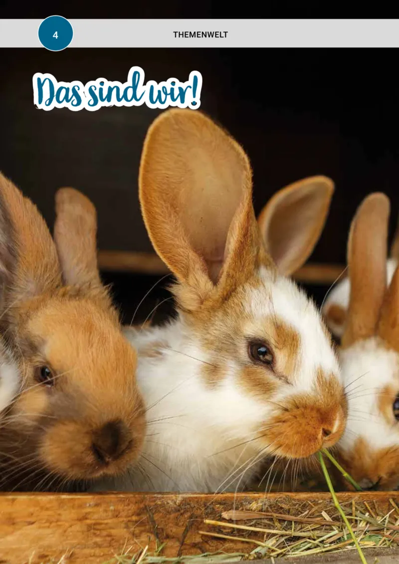 Zookauf Prospekt vom 01.05.2025, Seite 4