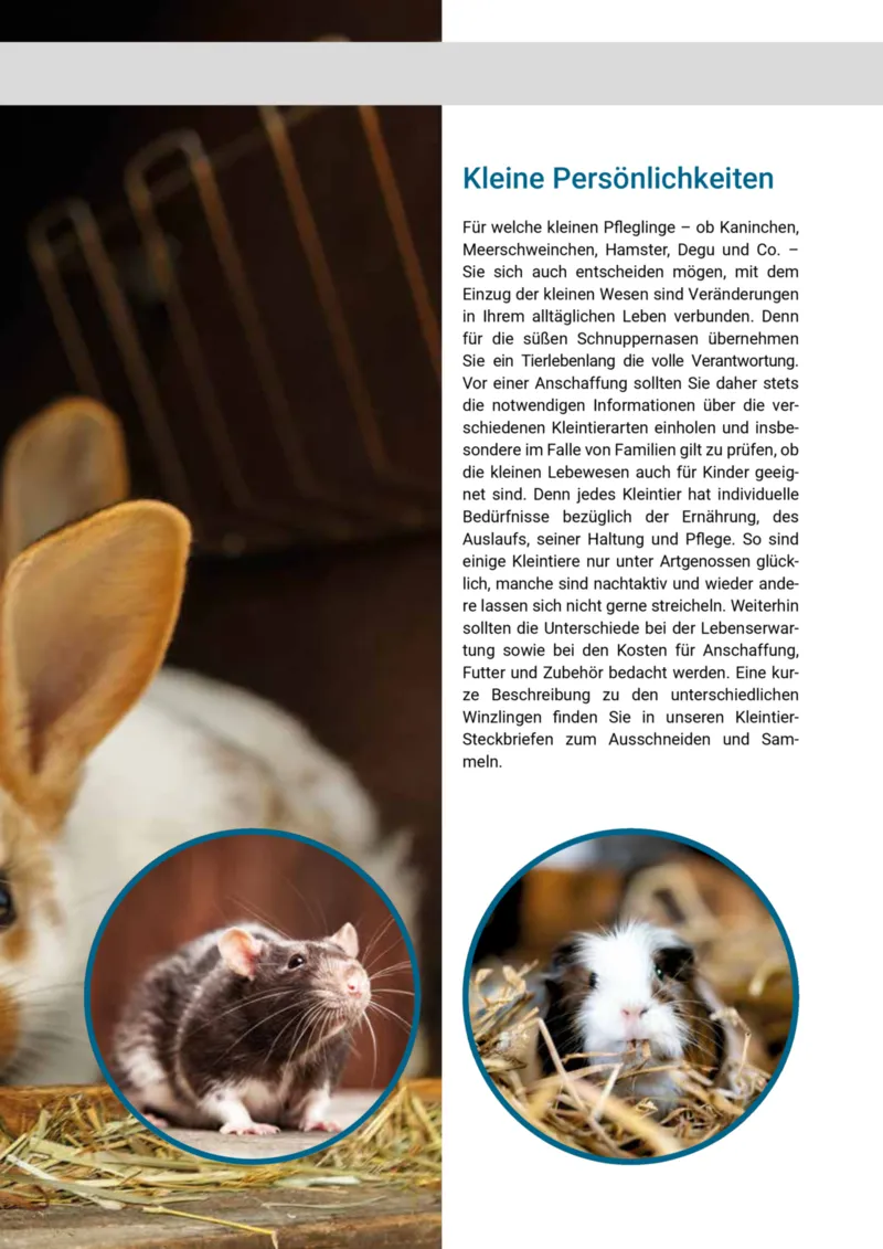 Zookauf Prospekt vom 01.05.2025, Seite 5