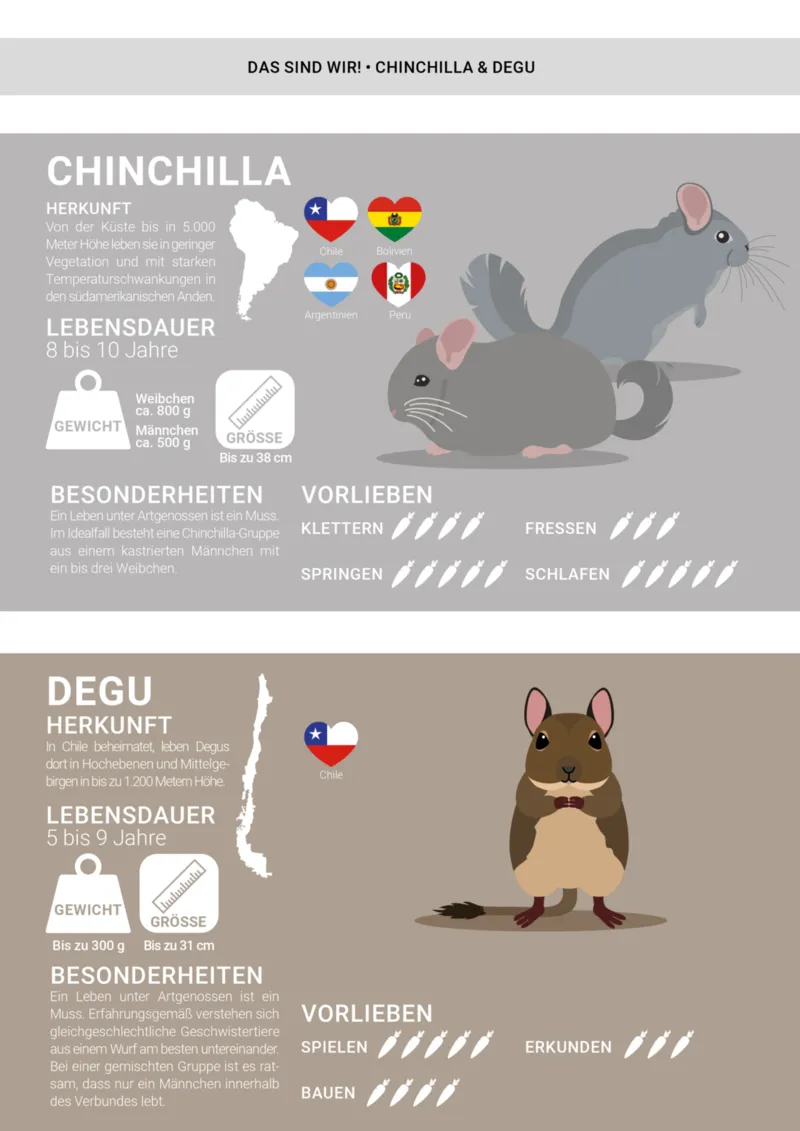 Zookauf Prospekt vom 01.05.2025, Seite 7