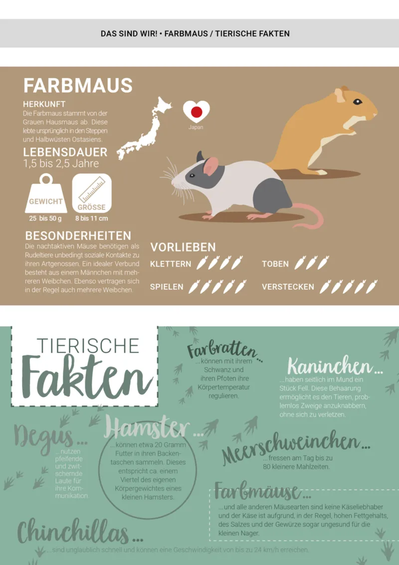 Zookauf Prospekt vom 01.05.2025, Seite 9