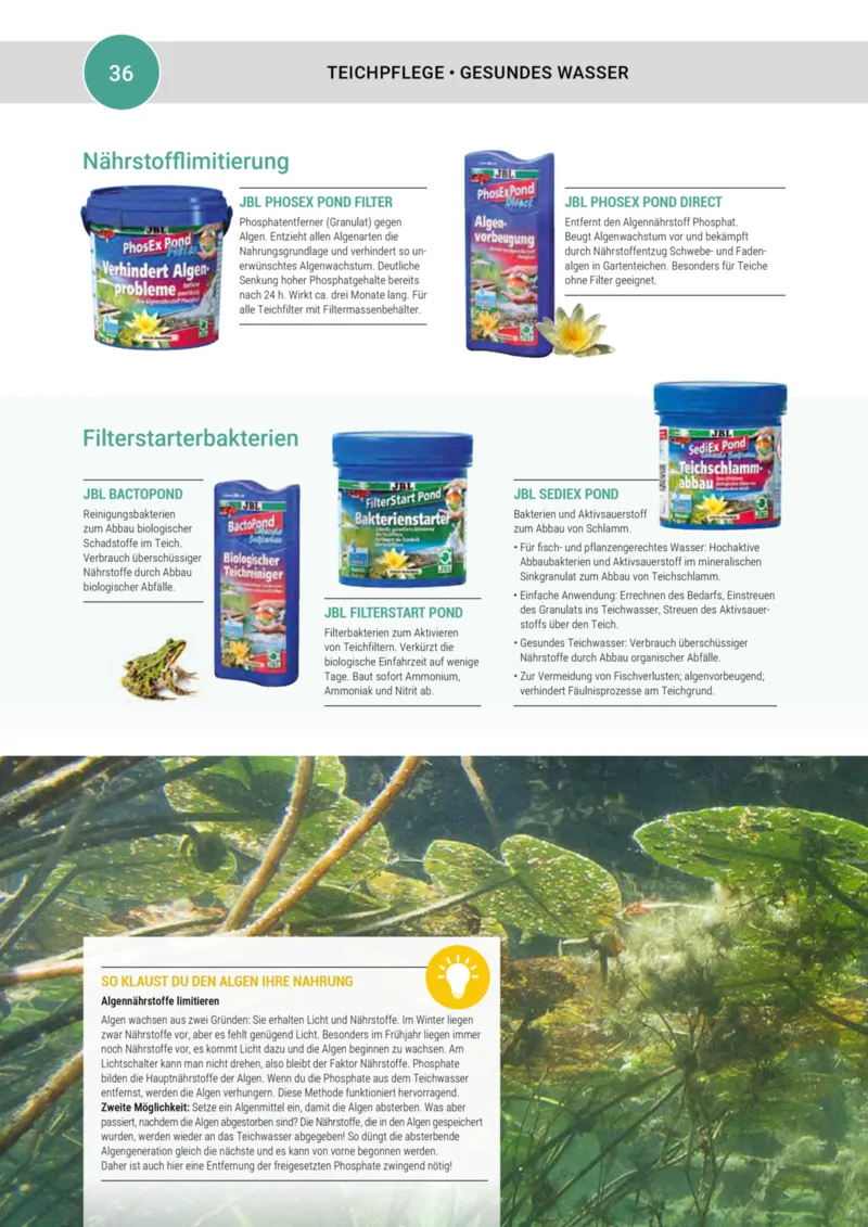 Zookauf Prospekt vom 01.05.2025, Seite 36
