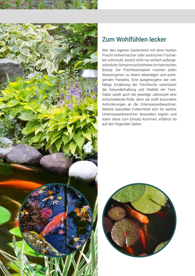 Zookauf Prospekt vom 01.05.2025, Seite 43