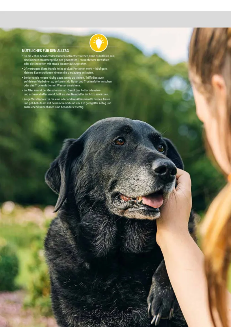 Zookauf Prospekt vom 20.05.2025, Seite 11