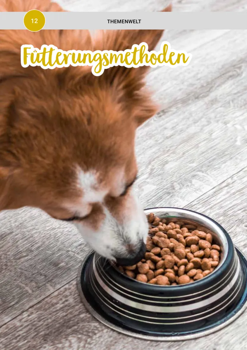 Zookauf Prospekt vom 20.05.2025, Seite 12