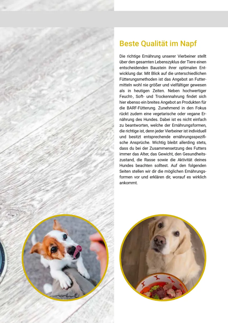 Zookauf Prospekt vom 20.05.2025, Seite 13