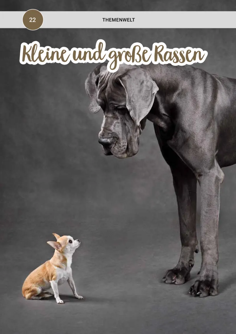 Zookauf Prospekt vom 20.05.2025, Seite 22