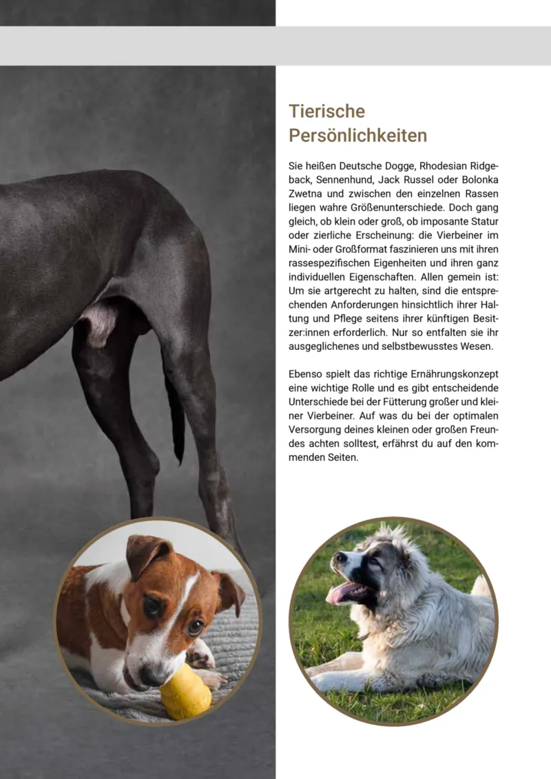 Zookauf Prospekt vom 20.05.2025, Seite 23