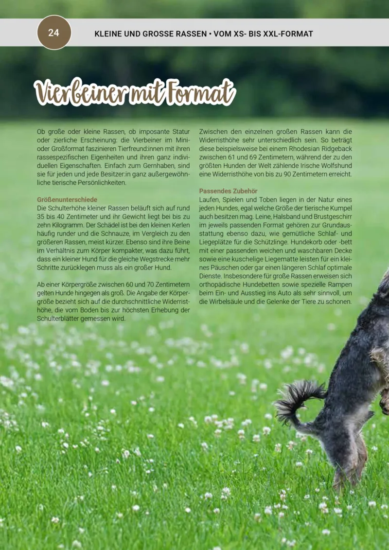 Zookauf Prospekt vom 20.05.2025, Seite 24