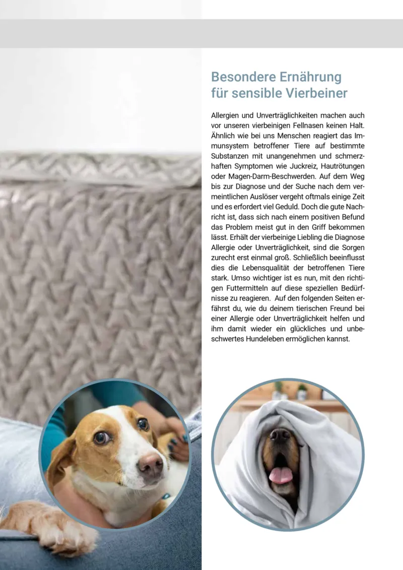 Zookauf Prospekt vom 20.05.2025, Seite 29