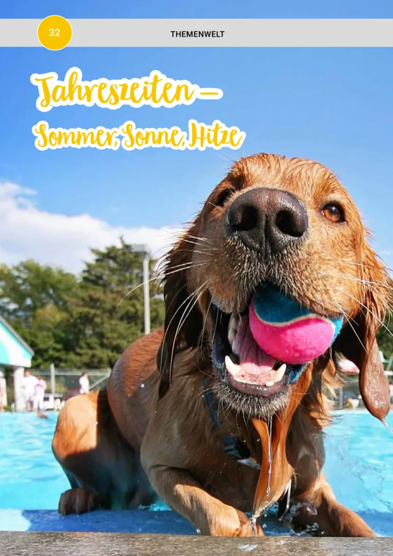 Zookauf Prospekt vom 20.05.2025, Seite 32