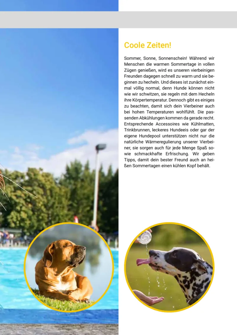 Zookauf Prospekt vom 20.05.2025, Seite 33