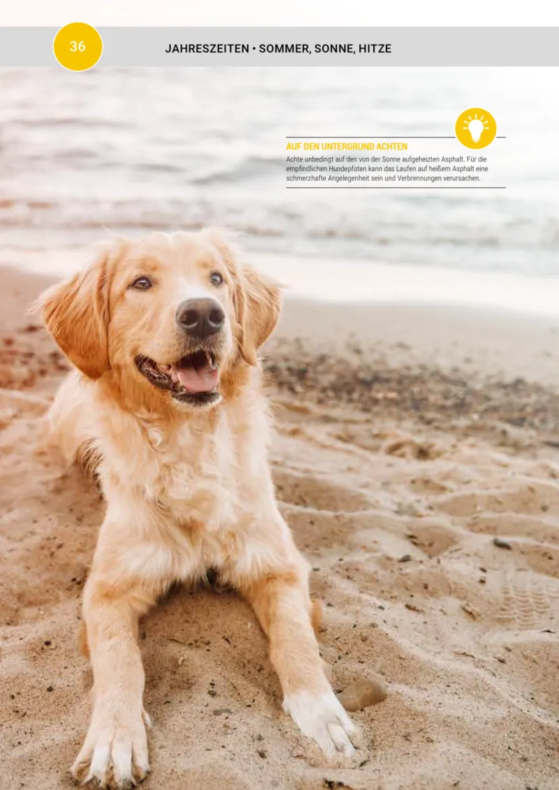 Zookauf Prospekt vom 20.05.2025, Seite 36