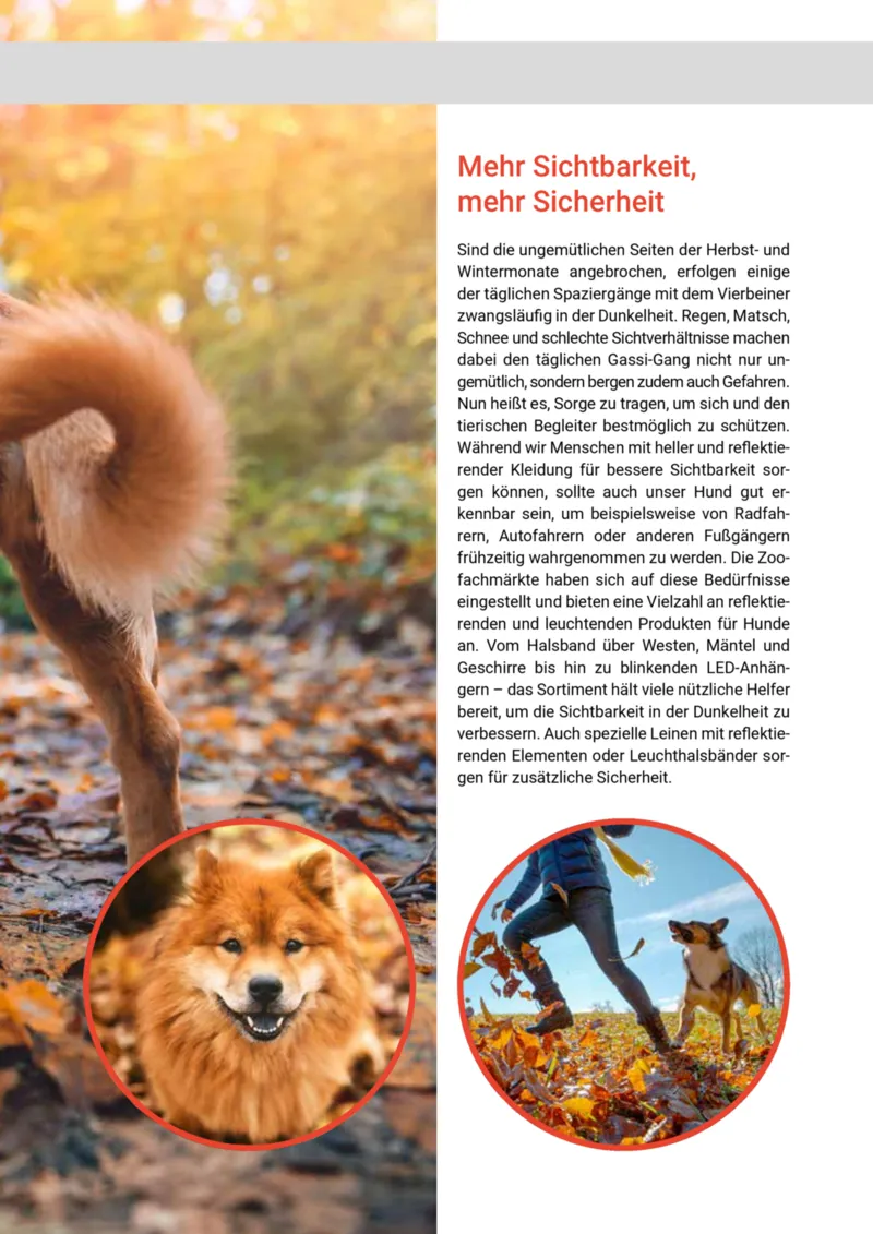 Zookauf Prospekt vom 20.05.2025, Seite 39