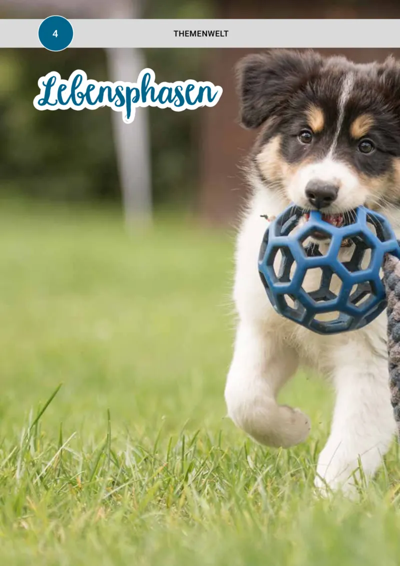 Zookauf Prospekt vom 20.05.2025, Seite 4