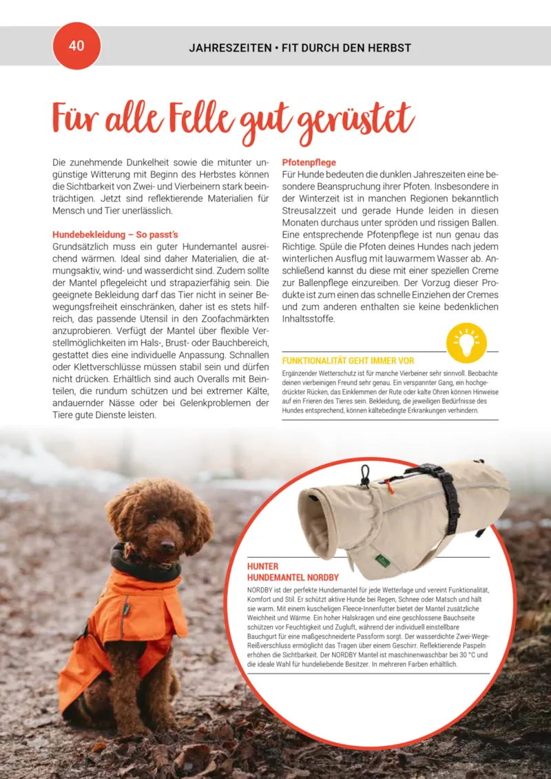 Zookauf Prospekt vom 20.05.2025, Seite 40