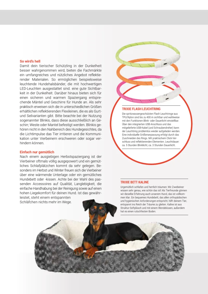 Zookauf Prospekt vom 20.05.2025, Seite 41