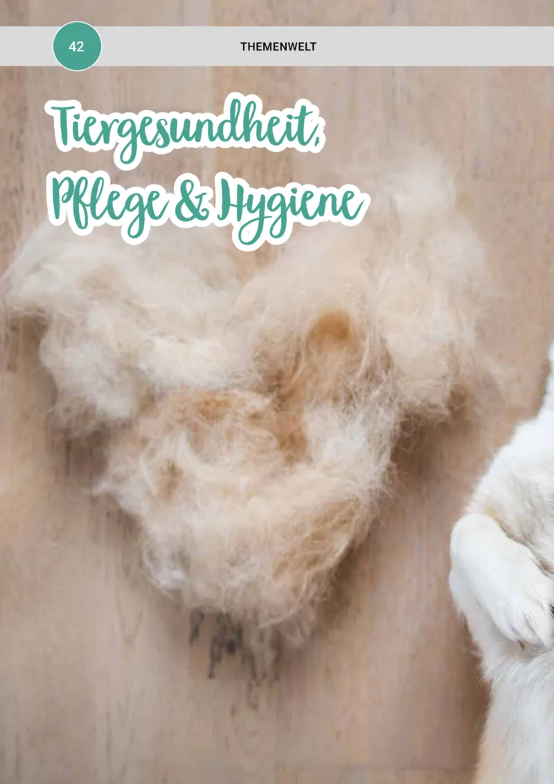 Zookauf Prospekt vom 20.05.2025, Seite 42