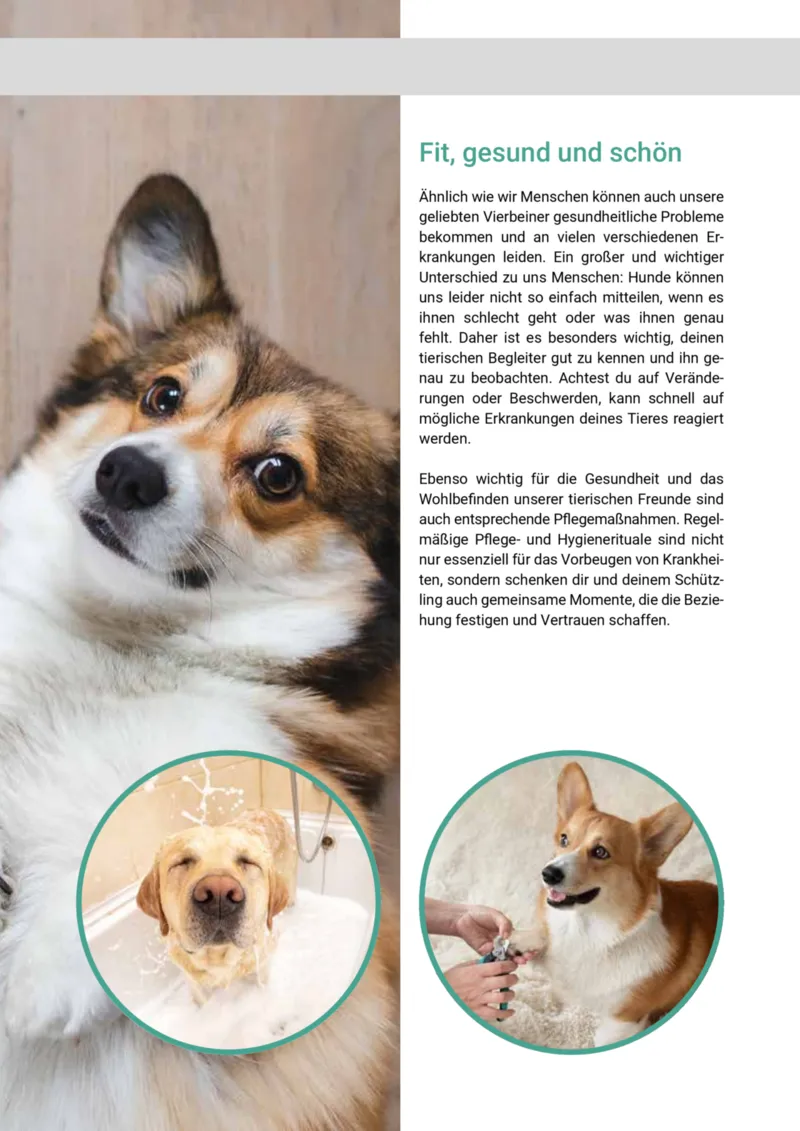 Zookauf Prospekt vom 20.05.2025, Seite 43