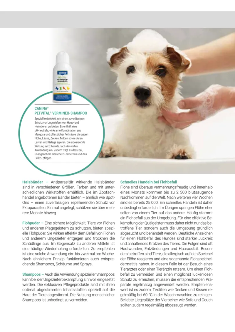 Zookauf Prospekt vom 20.05.2025, Seite 49