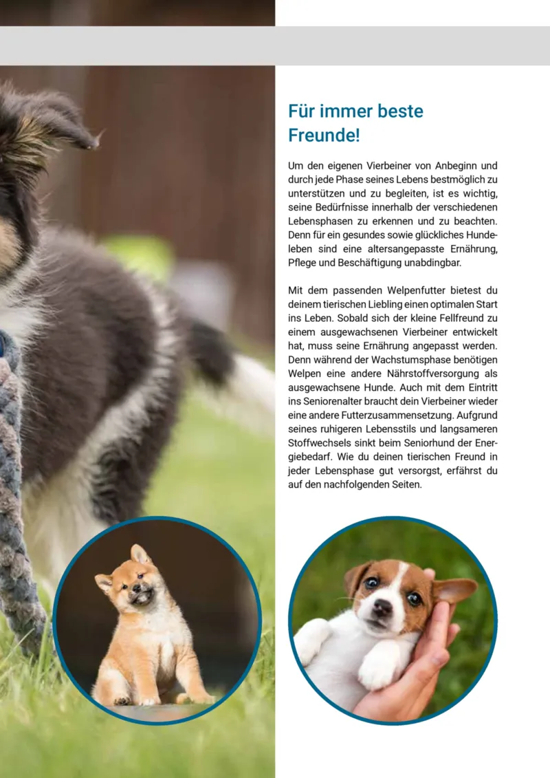 Zookauf Prospekt vom 20.05.2025, Seite 5