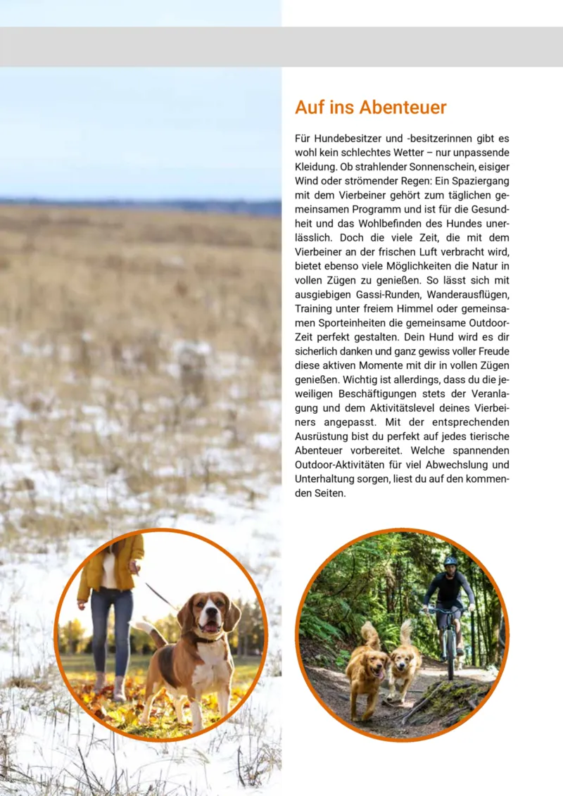 Zookauf Prospekt vom 20.05.2025, Seite 51