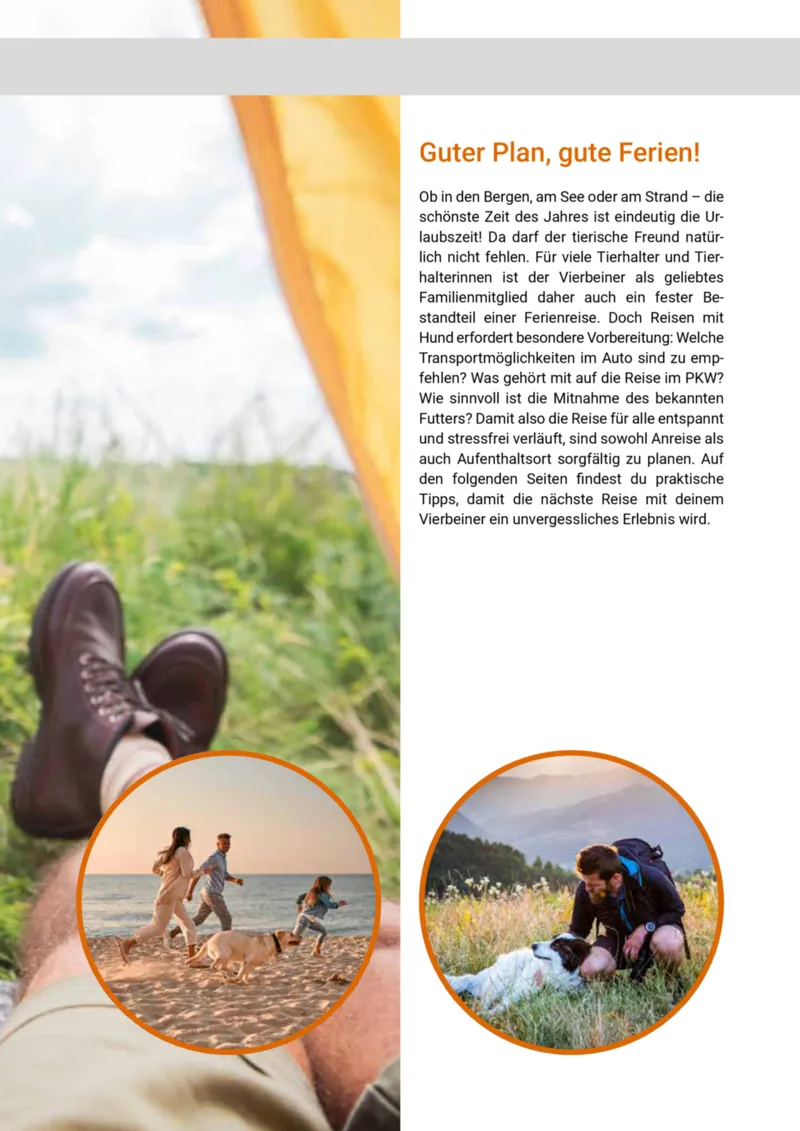 Zookauf Prospekt vom 20.05.2025, Seite 55