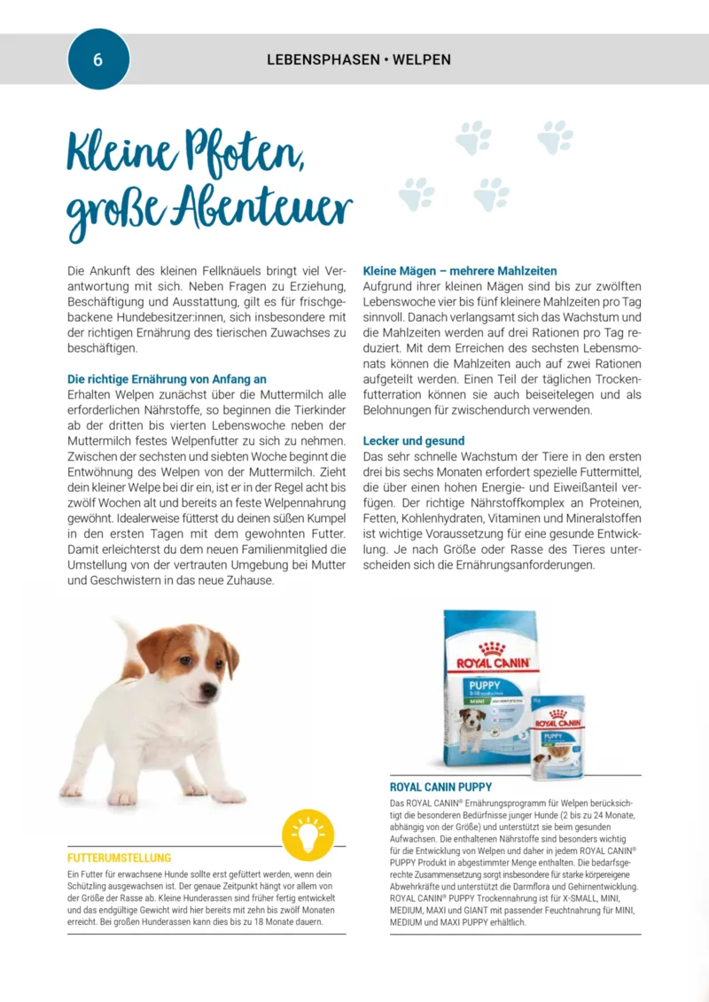Zookauf Prospekt vom 20.05.2025, Seite 6