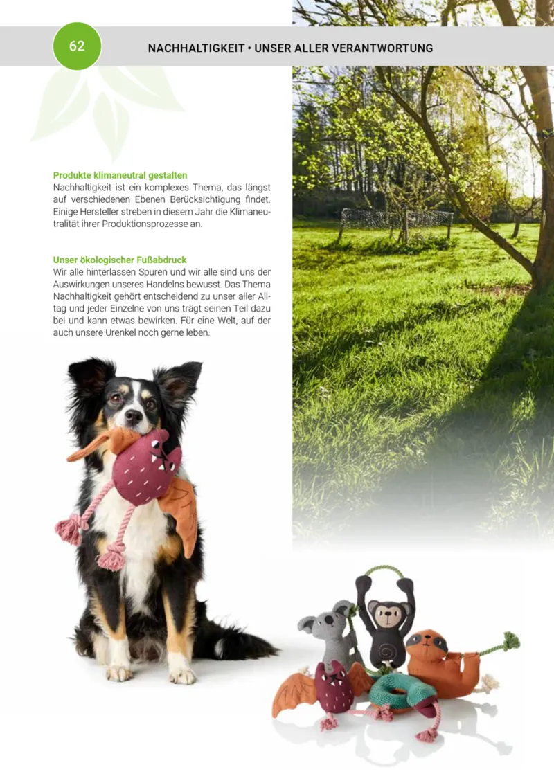 Zookauf Prospekt vom 20.05.2025, Seite 62