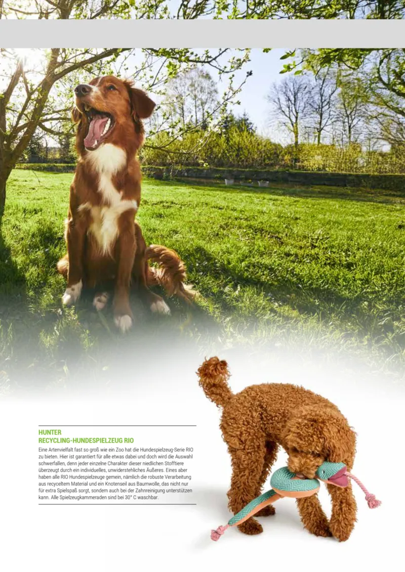 Zookauf Prospekt vom 20.05.2025, Seite 63