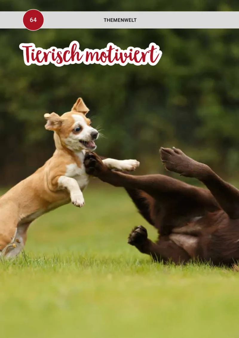 Zookauf Prospekt vom 20.05.2025, Seite 64