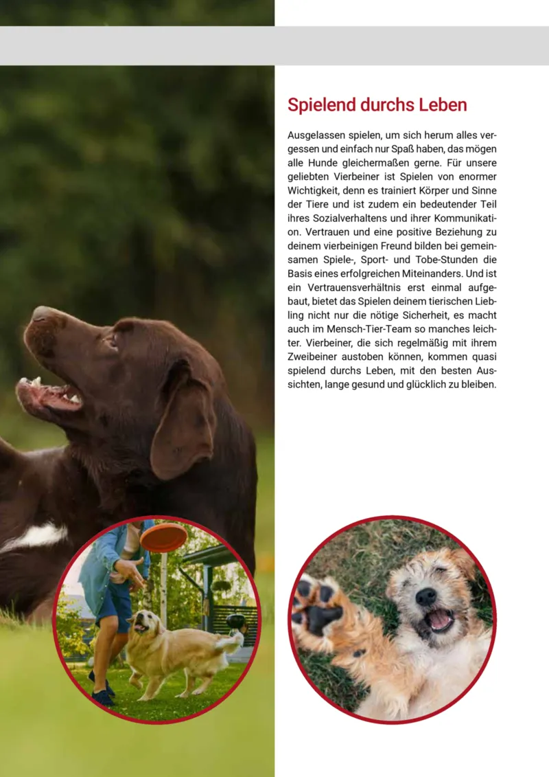 Zookauf Prospekt vom 20.05.2025, Seite 65