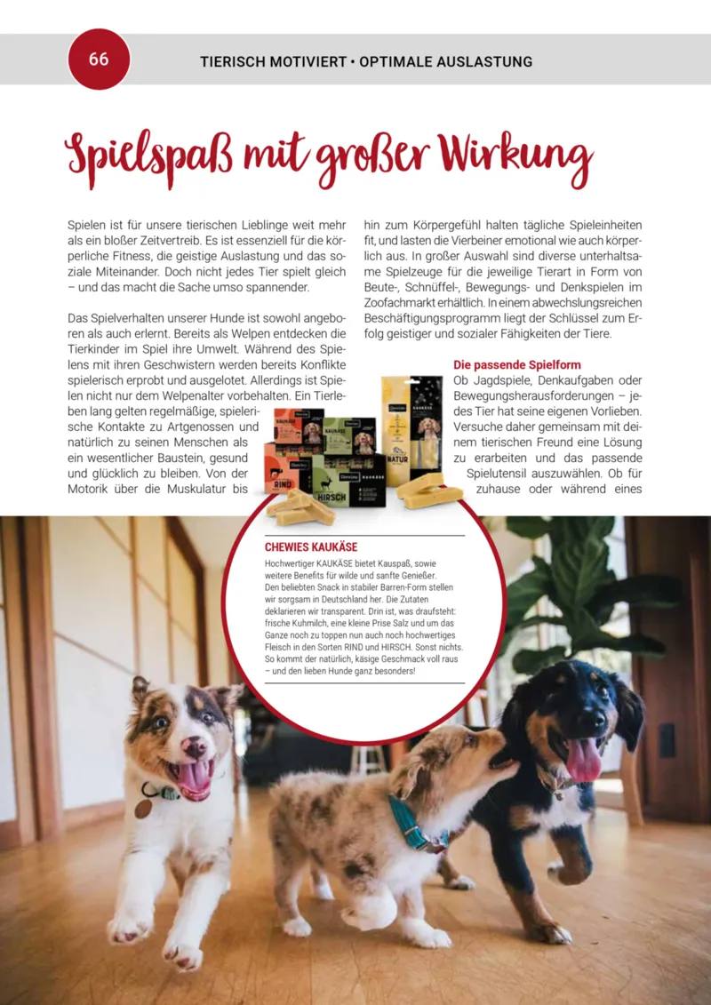 Zookauf Prospekt vom 20.05.2025, Seite 66